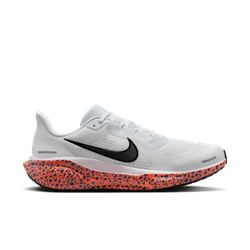 Nike pegasus 2019 online