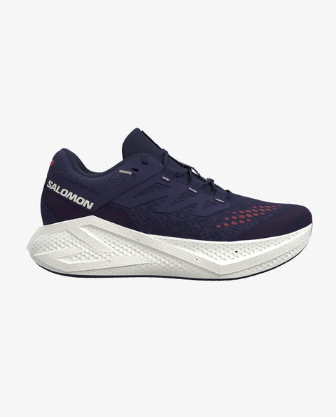 Salomon Men's Aero Glide 3 Gravel