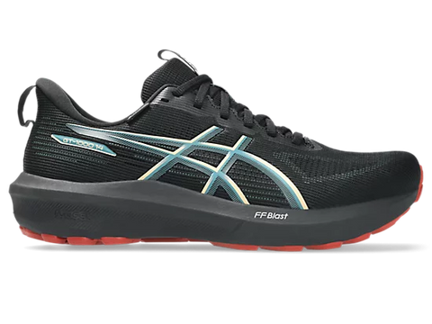 Asics Men's GT-1000 v14 GTX