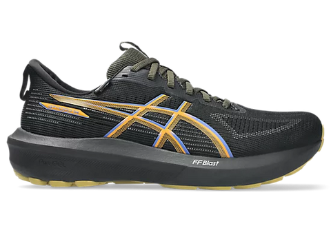 Asics Men's GT-1000 v14 GTX