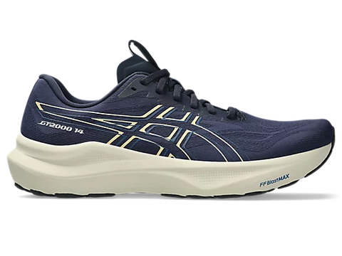 Asics Men's GT-2000 v14