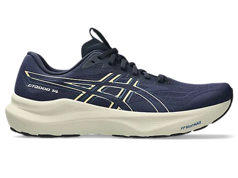 Asics Men's GT-2000 v14