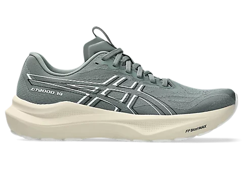 Asics Men's GT-2000 v14