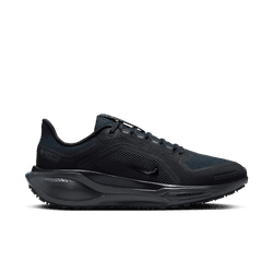 Nike Women's Zoom Pegasus 41 Gore-tex